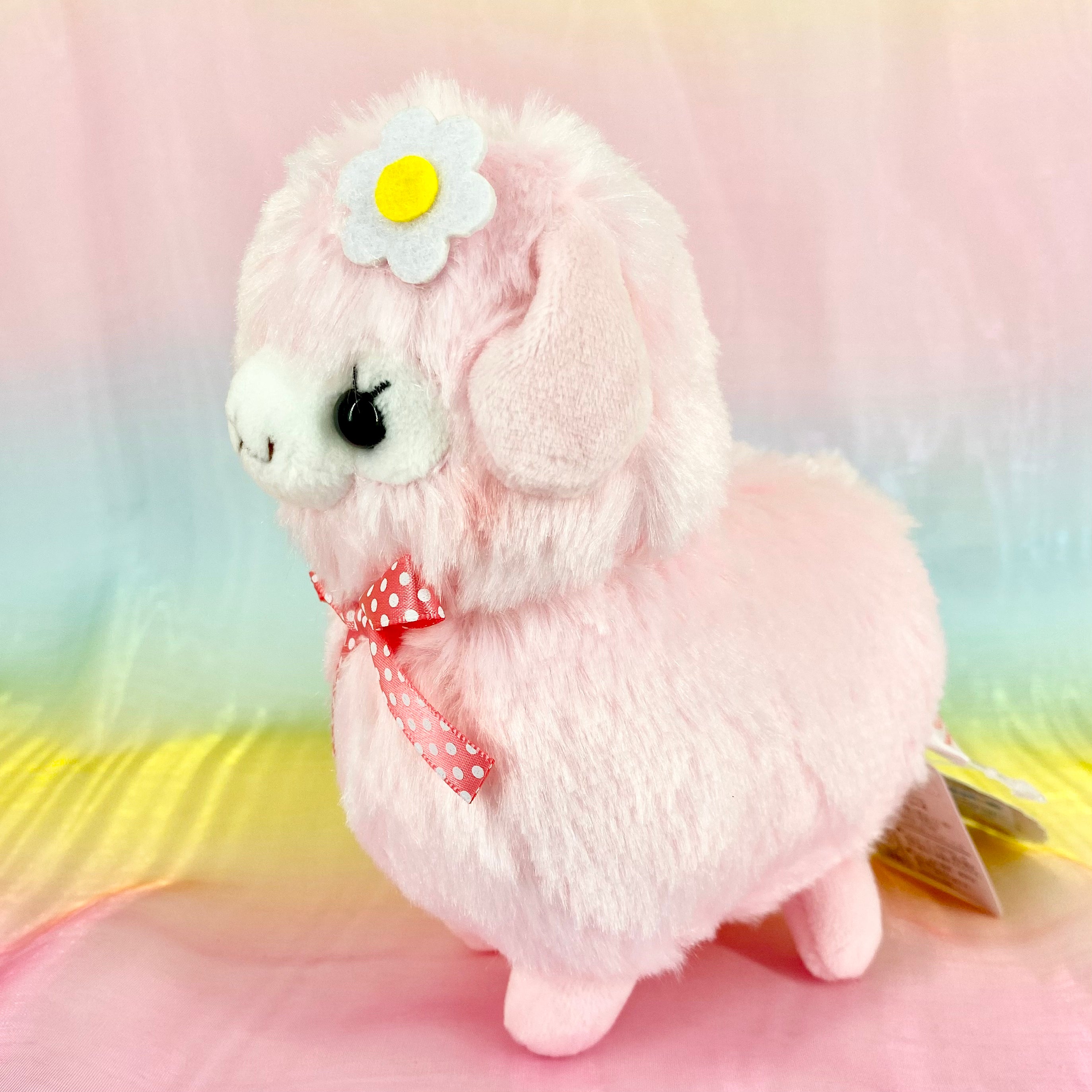 Baby alpacasso online