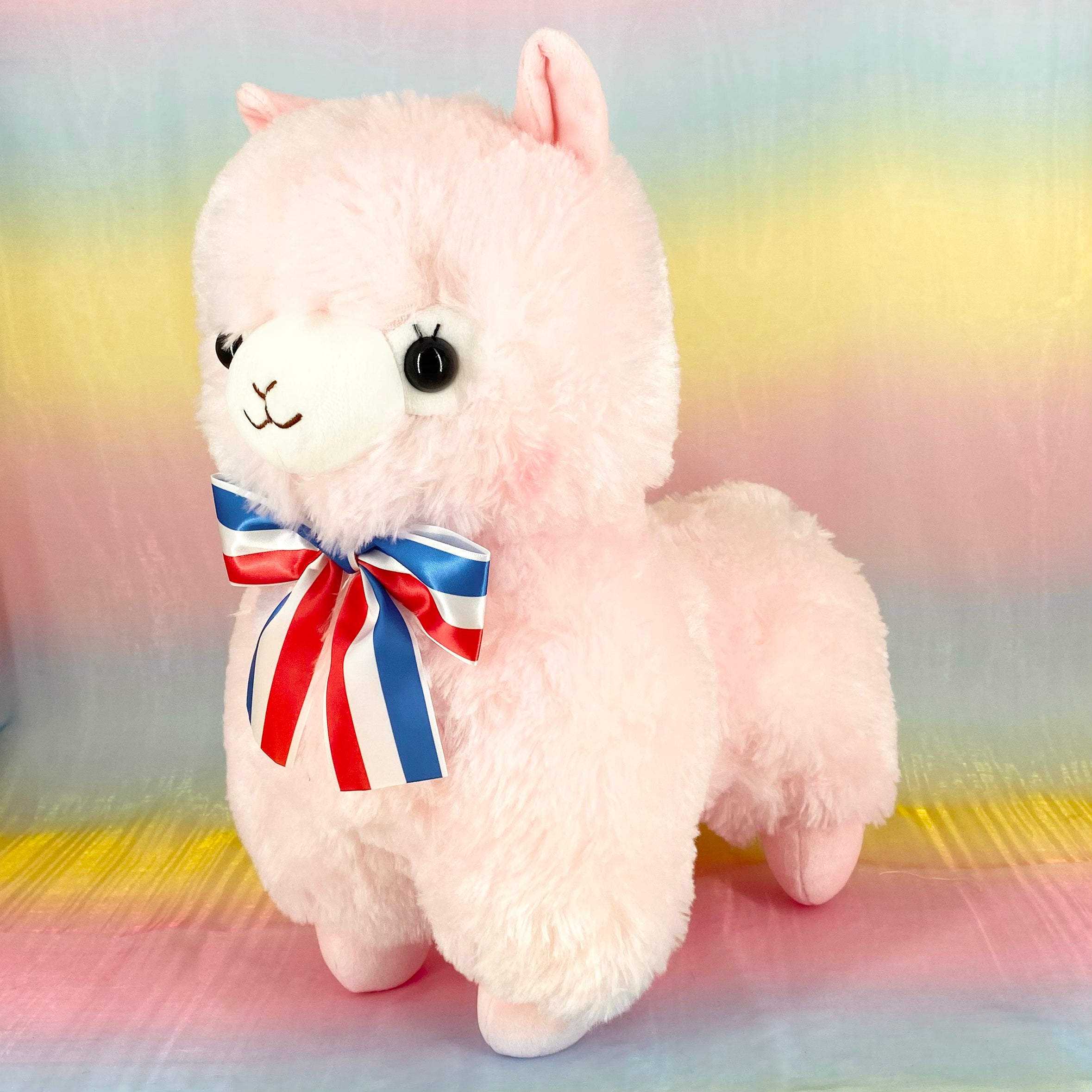 Alpacasso online gorgeous series