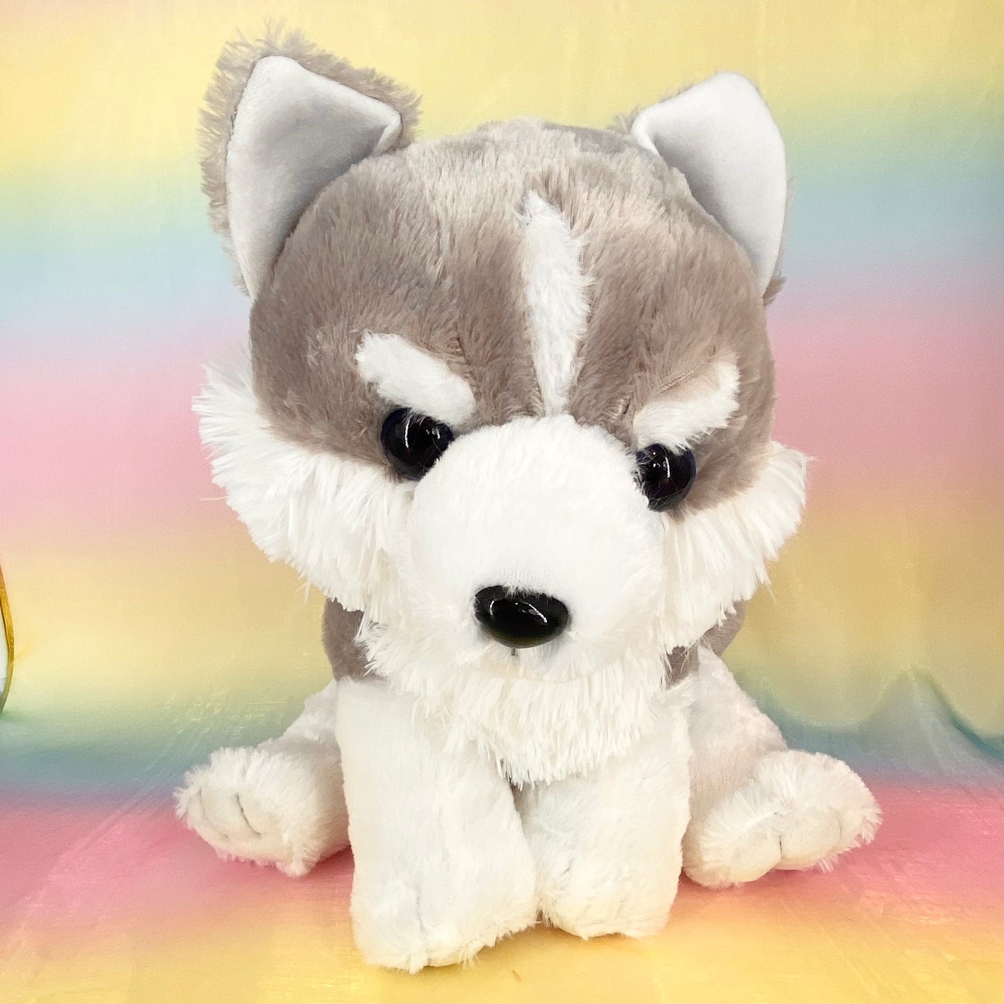 Mofutto Okami no Mure The Wolf Siberian Husky - Grey - Large