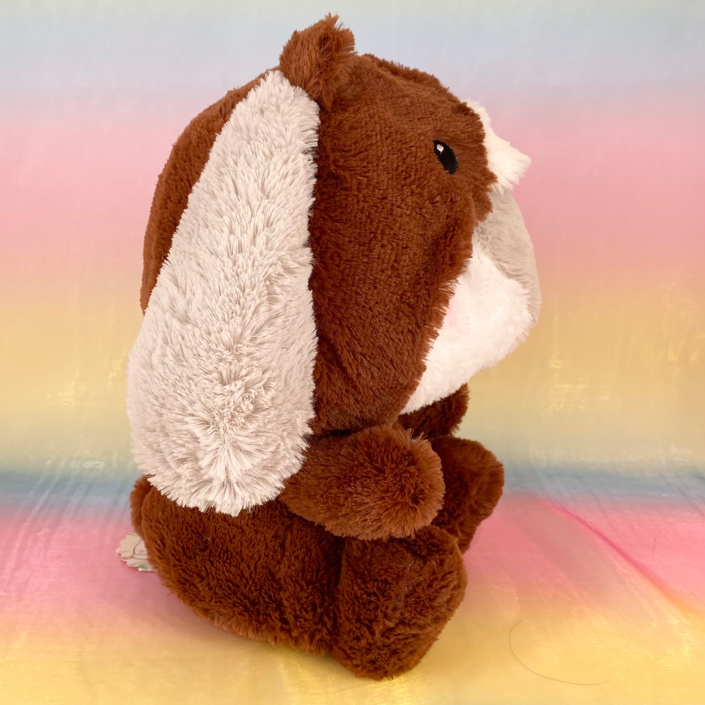 Loppy Yurugurumi The Rabbit - Wearing Brown Bear Onesie - Large