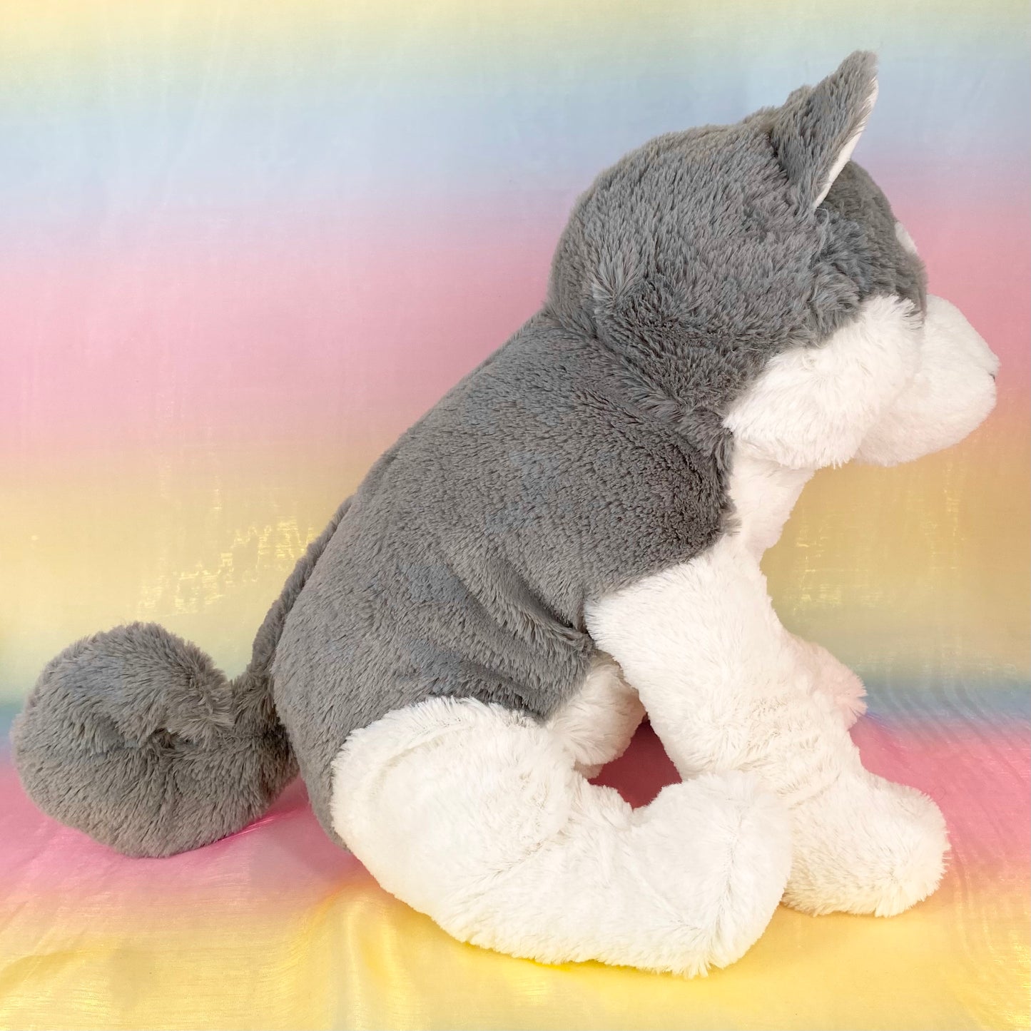 Kuttari The Siberian Husky - Mid Grey - Large